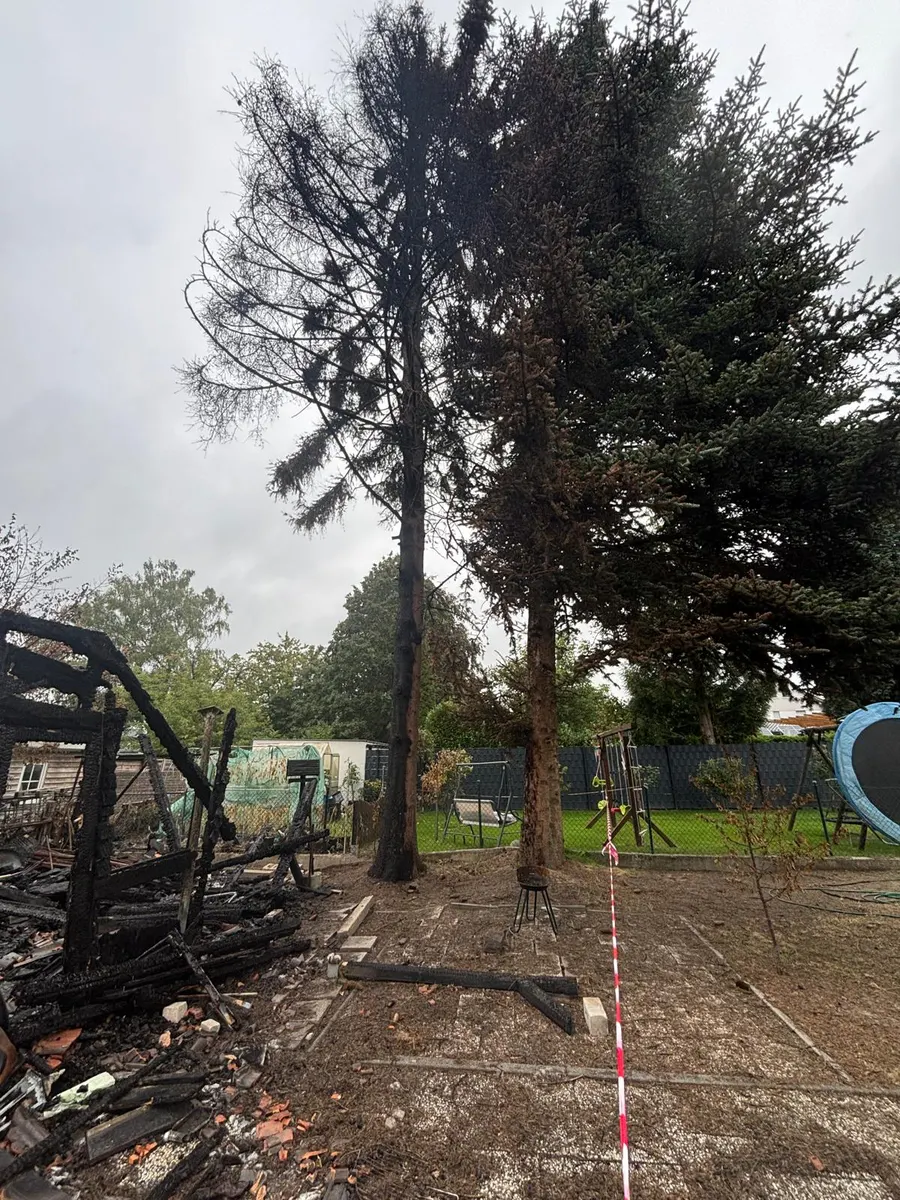 Durch einen Brand zerstörte Gartenlaube, daneben verkohlte Fichten und Absperrband neben dem Spielbereich
